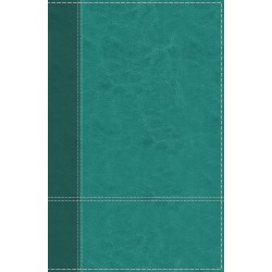 NIV Personal Size Large...