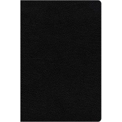 NIV Study Bible/Large Print...