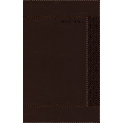 NRSVue Holy Bible With...