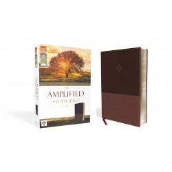 Amplified Study Bible...