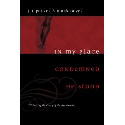 In My Place Condemned He Stood