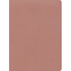 CSB Study Bible-Rose Gold...