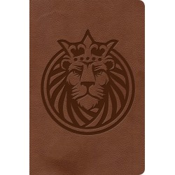 KJV Kids Bible-Brown Lion...