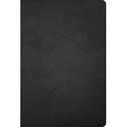 KJV Large Print Thinline...
