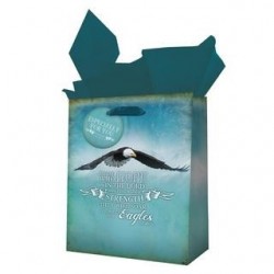 Gift Bag-Soar Like Eagles...