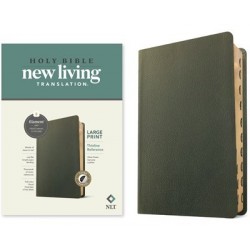 NLT Large Print Thinline...