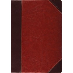 ESV Study Bible-Brown...