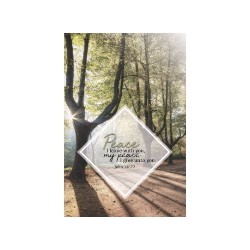 Bulletin-My Peace I Give...