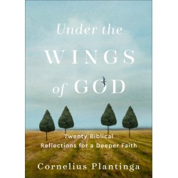 Under The Wings Of God
