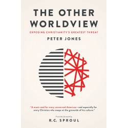 Other Worldview  The