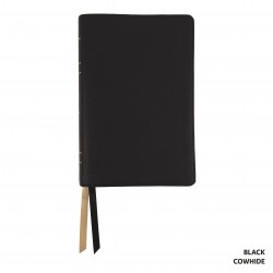 Legacy Standard Bible...