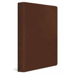 ESV Teen Study Bible-Burnt...