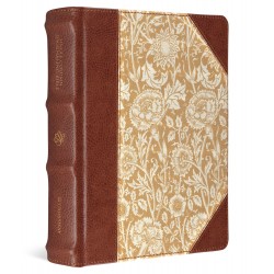 ESV Single Column...