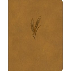 KJV Notetaking Bible/Large...