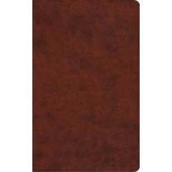 ESV Vest Pocket New...