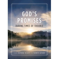 God's Promises During Times...