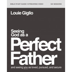 Seeing God As A Perfect...