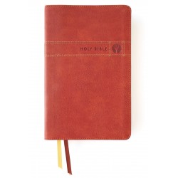 NIV Men's Devotional Bible...