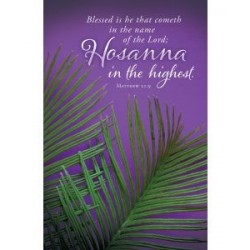 Bulletin-Hosanna In The...