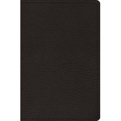 ESV Preaching Bible...