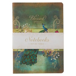 Notebook Set-Large-Secret...