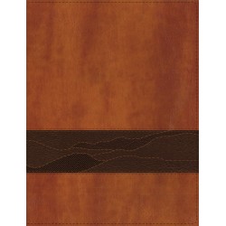 NIV Rooted: The NIV Bible...