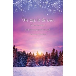 Bulletin-He Says To The...