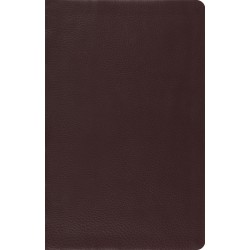 ESV Large Print Thinline...