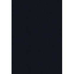 NASB 1995 Thompson...