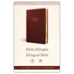 Span-RVR 1960/ESV Large...