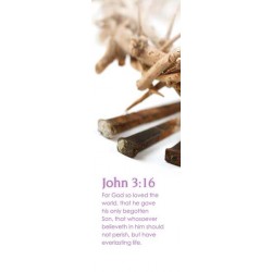 Bookmark-For God So Loved...