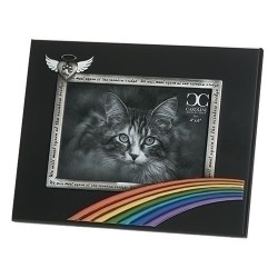 Frame-Rainbow Bridge...