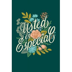 Span-Tract-You're Special...