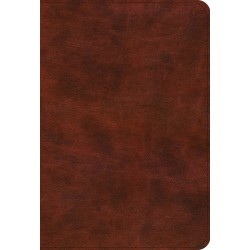 ESV Bible Promises-Brown...