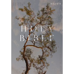 NRSV Catholic Edition Bible...