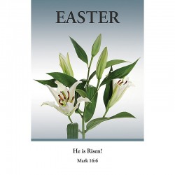 Bulletin-Easter/He Is Risen...