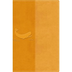 NIrV The Illustrated Holy...