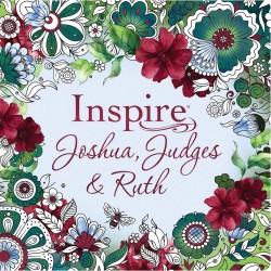 NLT Inspire: Joshua  Judges...