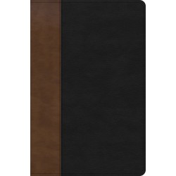 KJV Personal Size Giant...