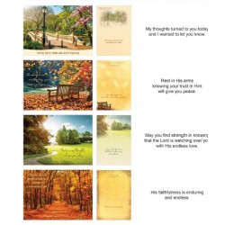 Card-Boxed-Shared...
