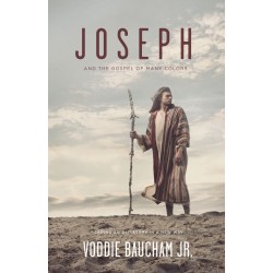 Joseph And The Gospel Of...