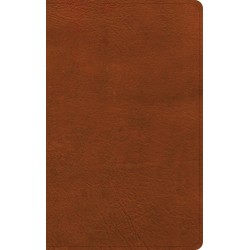 NASB 2020 Single-Column...