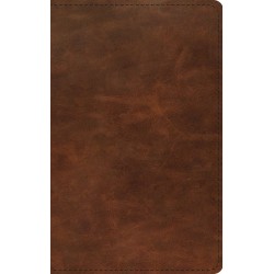 ESV Thinline Bible-Deep...
