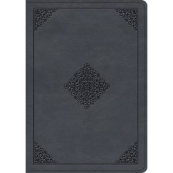 ESV Large Print Wide Margin...