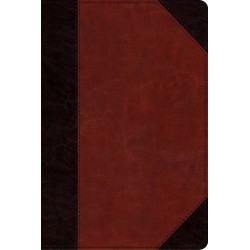 ESV Study Bible/Personal...