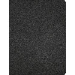 CSB Men Of Character Bible...