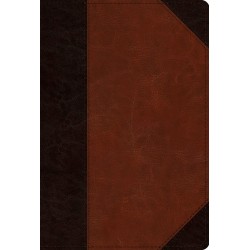 ESV Men's Study...