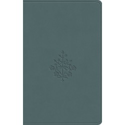 ESV Value Compact...
