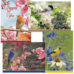 Card-Boxed-Prayerful...