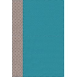 NIV Study Bible (Fully...